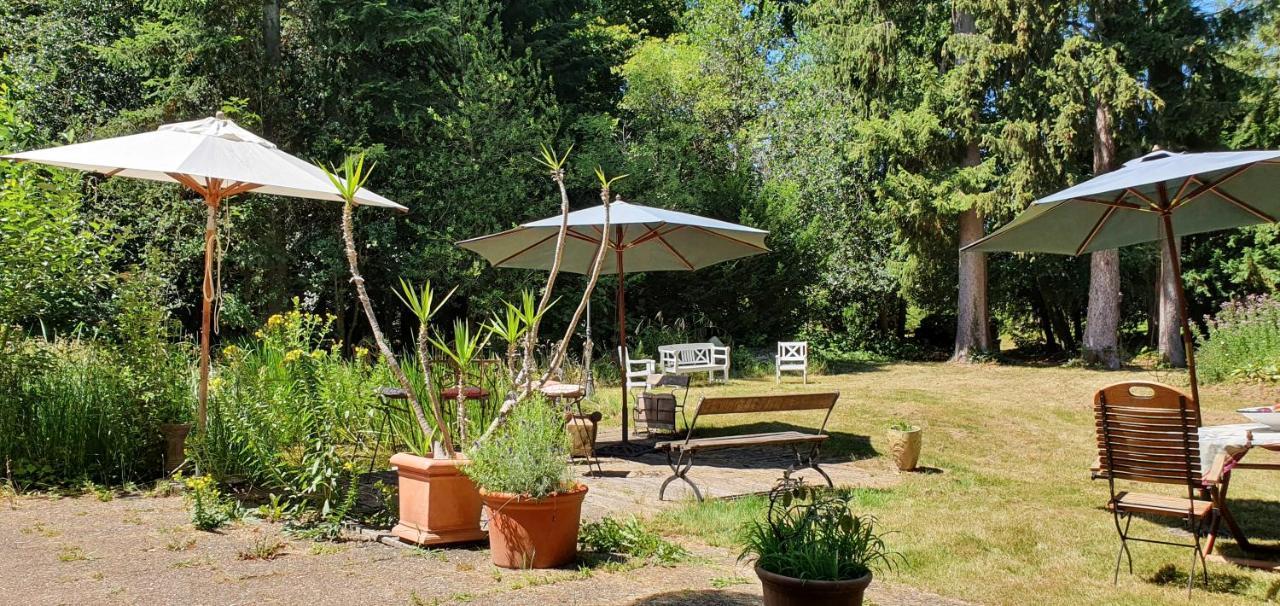 Maisonmazerand Cirey-sur-Vezouze Ngoại thất bức ảnh